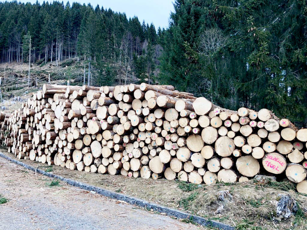 Zum Transport bereitgestelltes Holz.